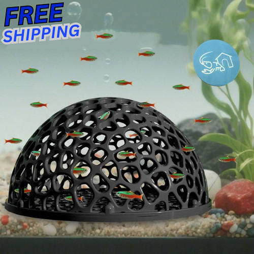 Shrimp breeding cave fish tank - shrimp,