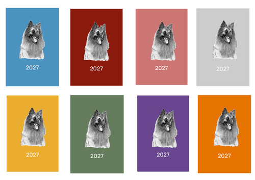 Belgian shepherd dog - belgian,