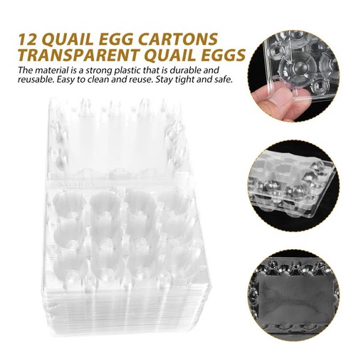 100 plastic clear - 100,