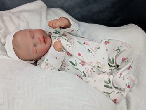 Gorgeous reborn baby - reborn, girl