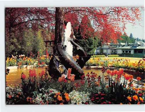 Postcard the dolphin fountain - postcard,