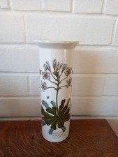 Portmeirion Botanic Garden Tall Cylinder Vase Vintage Venus Excellent Condition
