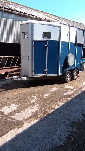 Horse box ifor williams - horse,