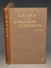 GERTRUDE JEKYLL Lilies for
