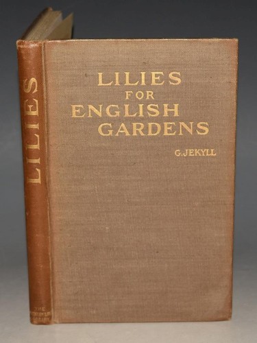 Gertrude jekyll lilies - lilies, for