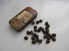 Collection of Small Antique