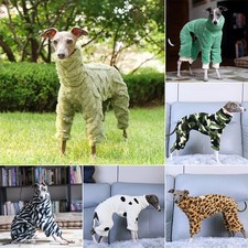 Winter Warm Fluffy Dog