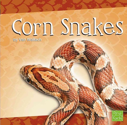 Corn snakes first facts - (first,