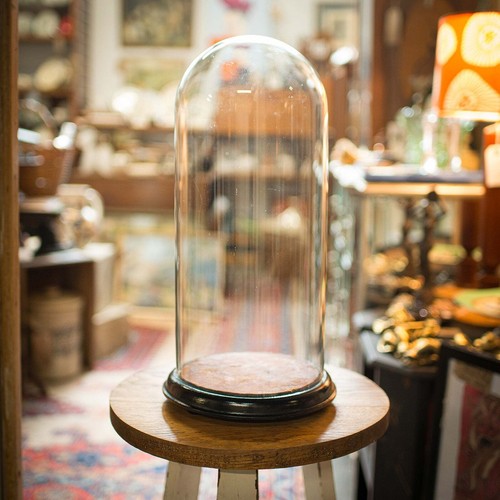 Tall antique specimen - tall, dome