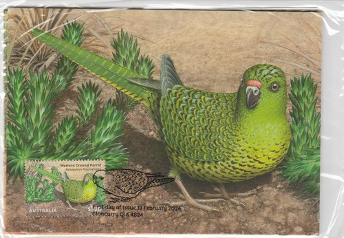 Australia 2024 aussie birds - aussie,