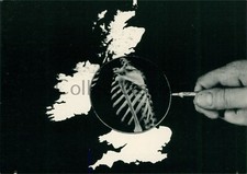 1980's Political Postcard CND