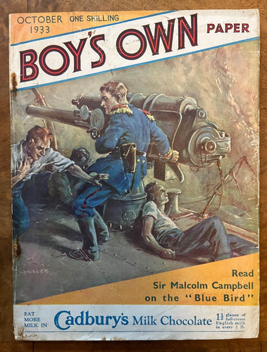 Sir malcolm campbell blue - sir, bird