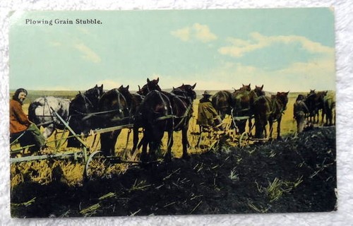 1915 postcard plowing grain - postcard,