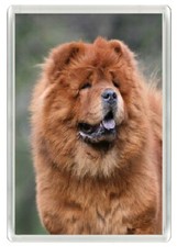 CHOW CHOW DOG HEAD ART NOVELTY