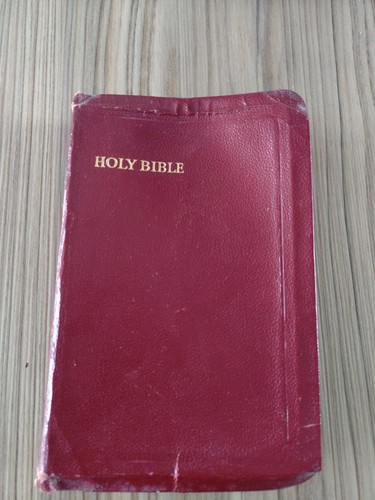 Holy bible ilustrated new and - holy,