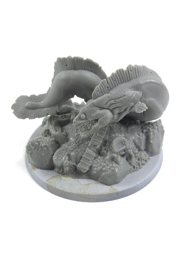Giant moray eel reaper bones - eel,