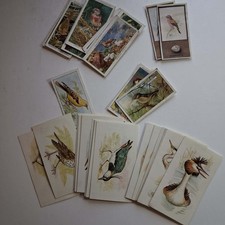 Job Lot of Vintage Cigarette