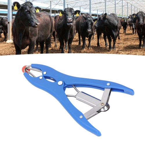 Castration bander stainless - castration,