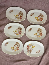 Pyrex Harvest Spray Set of 6