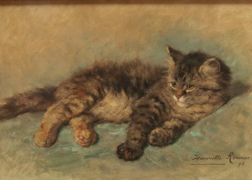 Henriette ronner knip cat 7x5 - henriette,