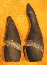 Horn longbow nocks with - longbow,