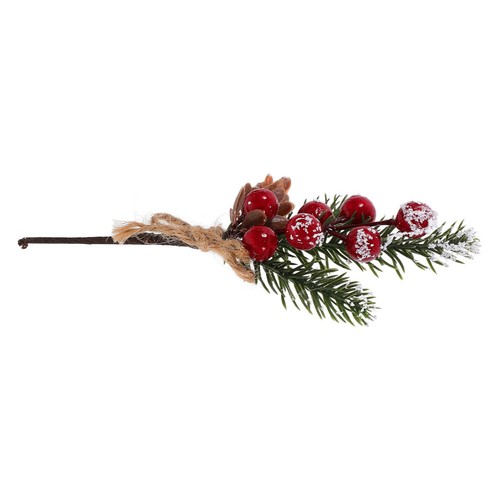 Realistic pine cone berry - realistic,
