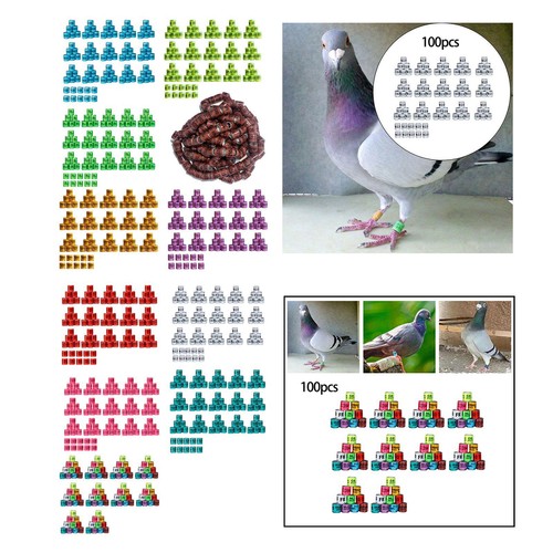 100 pieces racing pigeon foot - 100,