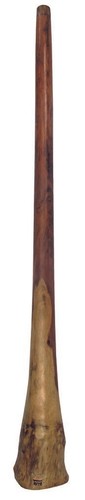Didgeridoo eucalyptus proline - didgeridoo,