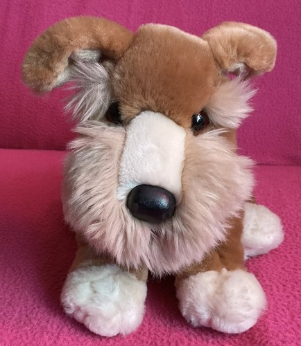 Roxi fox terrier brown - terrier,