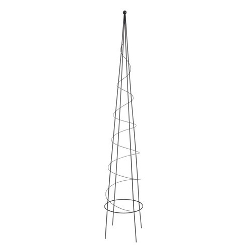 Garden spiral plant - garden, obelisk