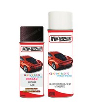Paint Spray For Nissan
