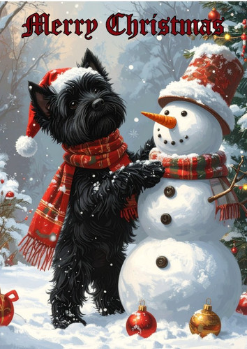 Black west highland westie dog - west,