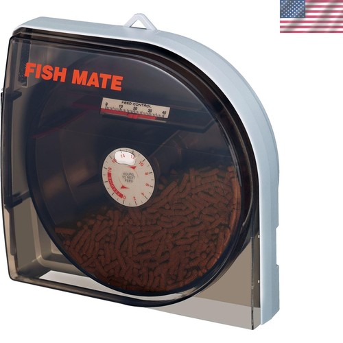 Reliable automatic fish feeder - fish,