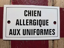 Chien allergique aux uniformes - chien,