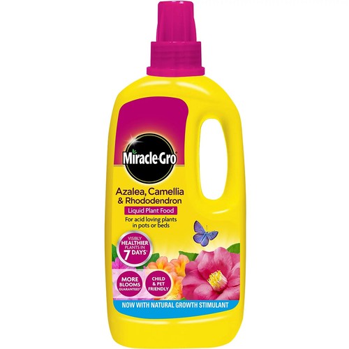 Miracle gro azalea camellia - gro,