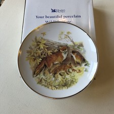 Readers Digest Wildlife of