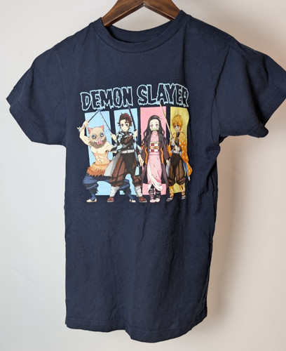 Demon slayer anime graphic - demon,