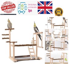 Durable Eco-Friendly Bird Play