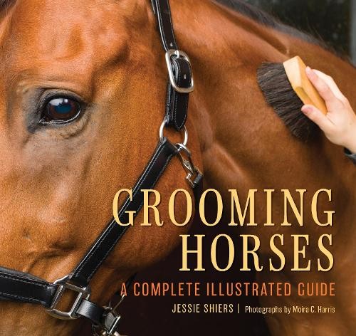Grooming horses jessie - by,