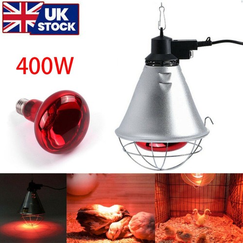 400w bulb infrared heat - 🔥400w,