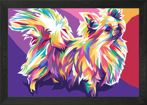 Chihuahua long hair - hair, framed