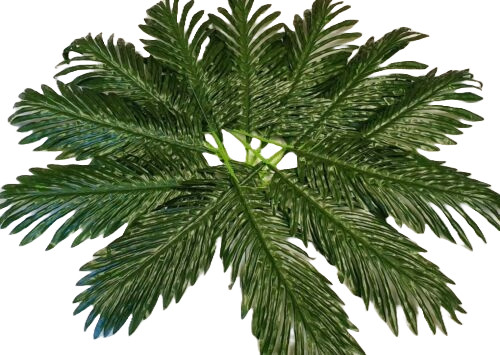 Artificial leaves plants leaf - leaves,