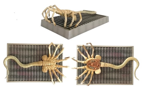 Alien face hugger model - alien,