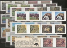 WEETABIX-FULL SET- ANIMAL