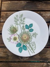 Vintage Hi Summer Hostess Tableware Bone China Side Plates  X 6 John Russell