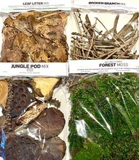 Rainforest Leaf Litter