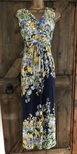 Monsoon Delphinium navy yellow