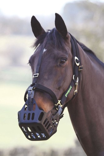 Greenguard grazing muzzle - greenguard,