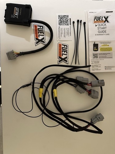 Fuel lite plug autotune - plug,