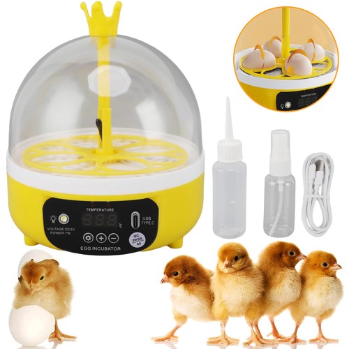 Mini egg incubator home - mini,